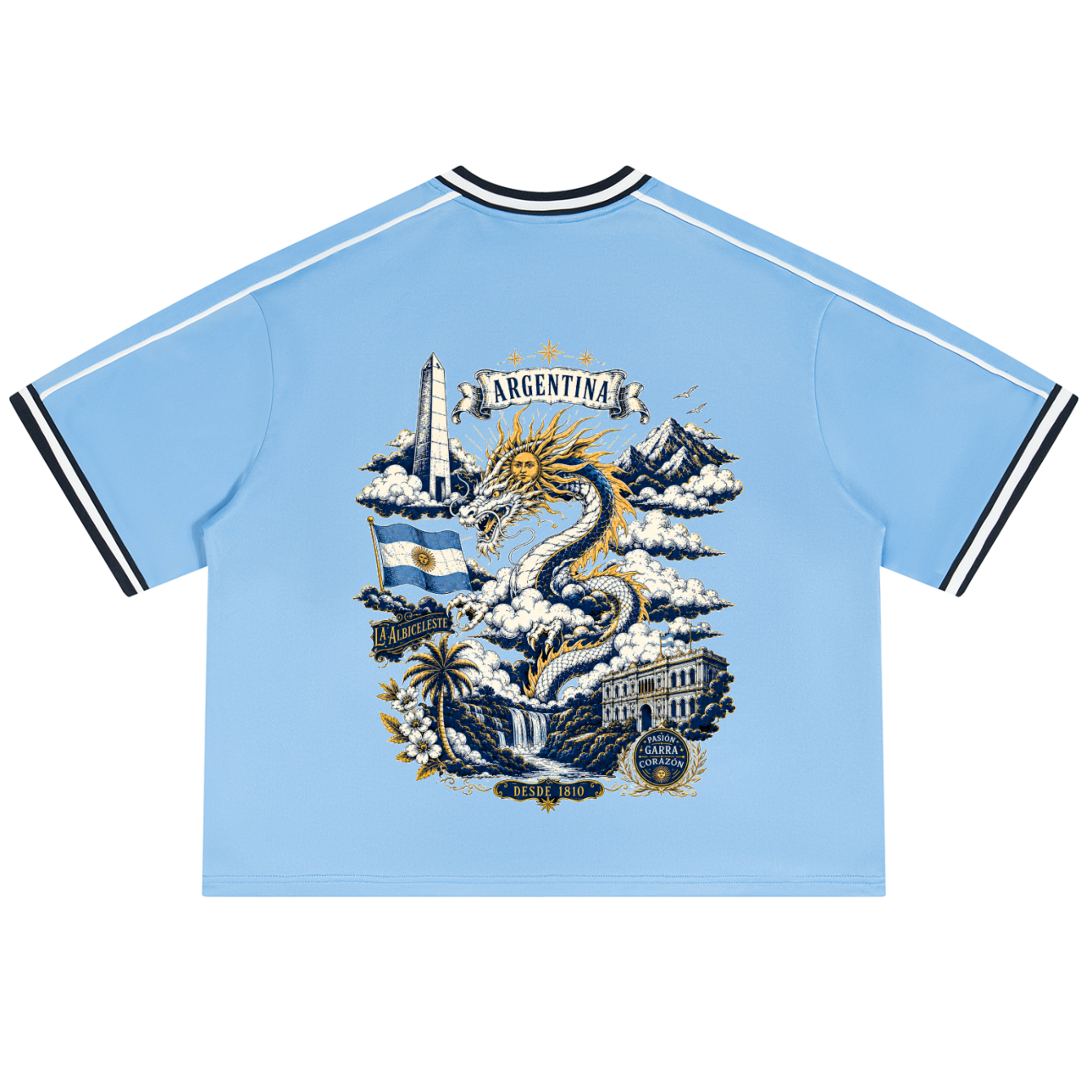 Argentina Unisex Boxy V-Neck Soccer Jersey