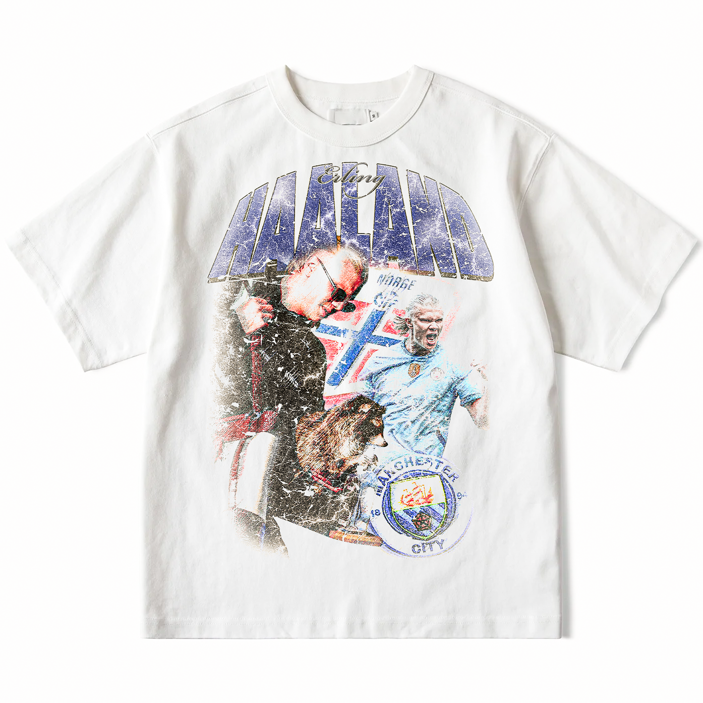 Graphic Erling Haaland Raccoon Streetwear Loose Drop Shoulder T-Shirt